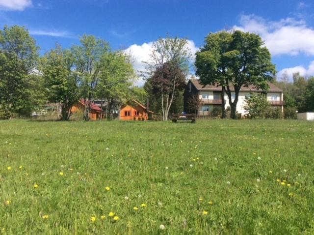 Ferienwohnung Harzblick 4 Braunlage Εξωτερικό φωτογραφία