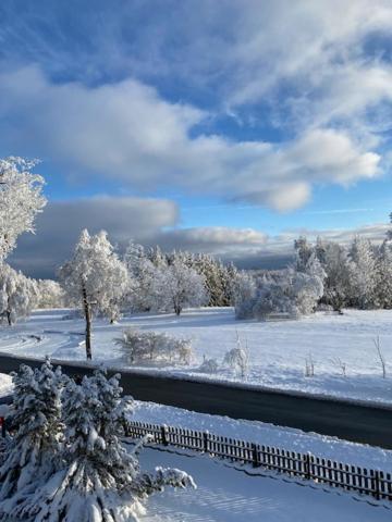 Ferienwohnung Harzblick 4 Braunlage Εξωτερικό φωτογραφία